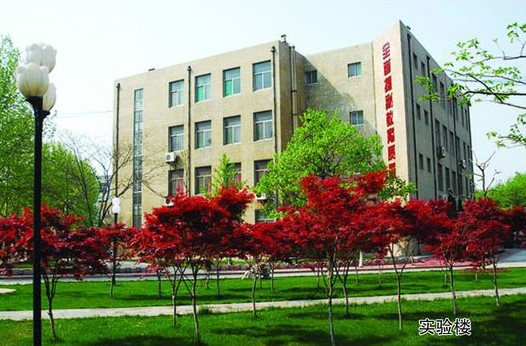 淄博市工業學校開設哪些計算機課程？