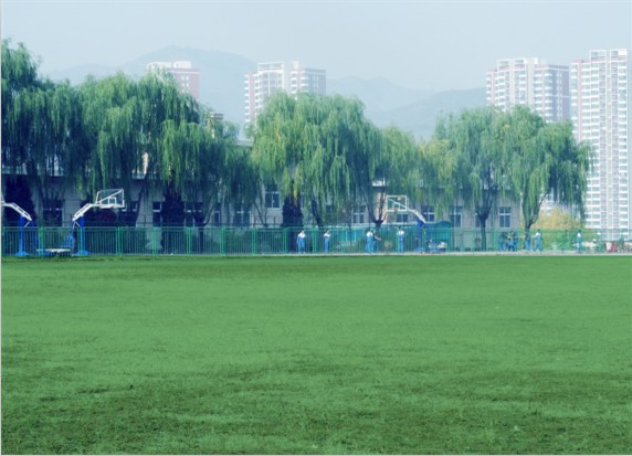 青島滿天星職業培訓學校怎么樣？