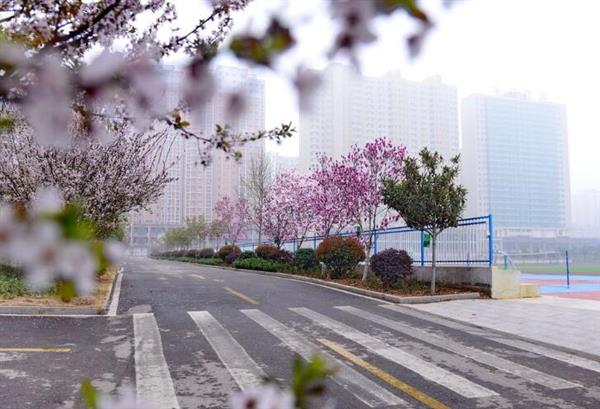 河北大學新世紀函授站成人高考輔導班怎么樣？