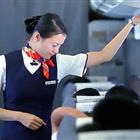 航空服務（票務、安檢方向）、航空乘務定向委培